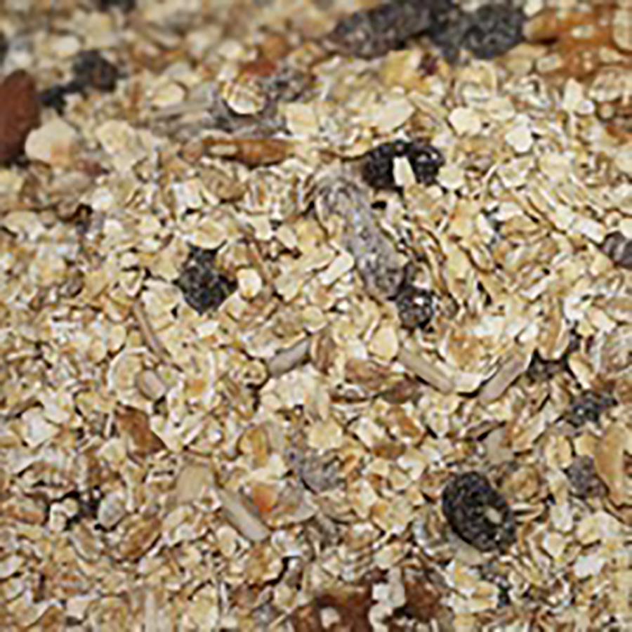 MUESLI