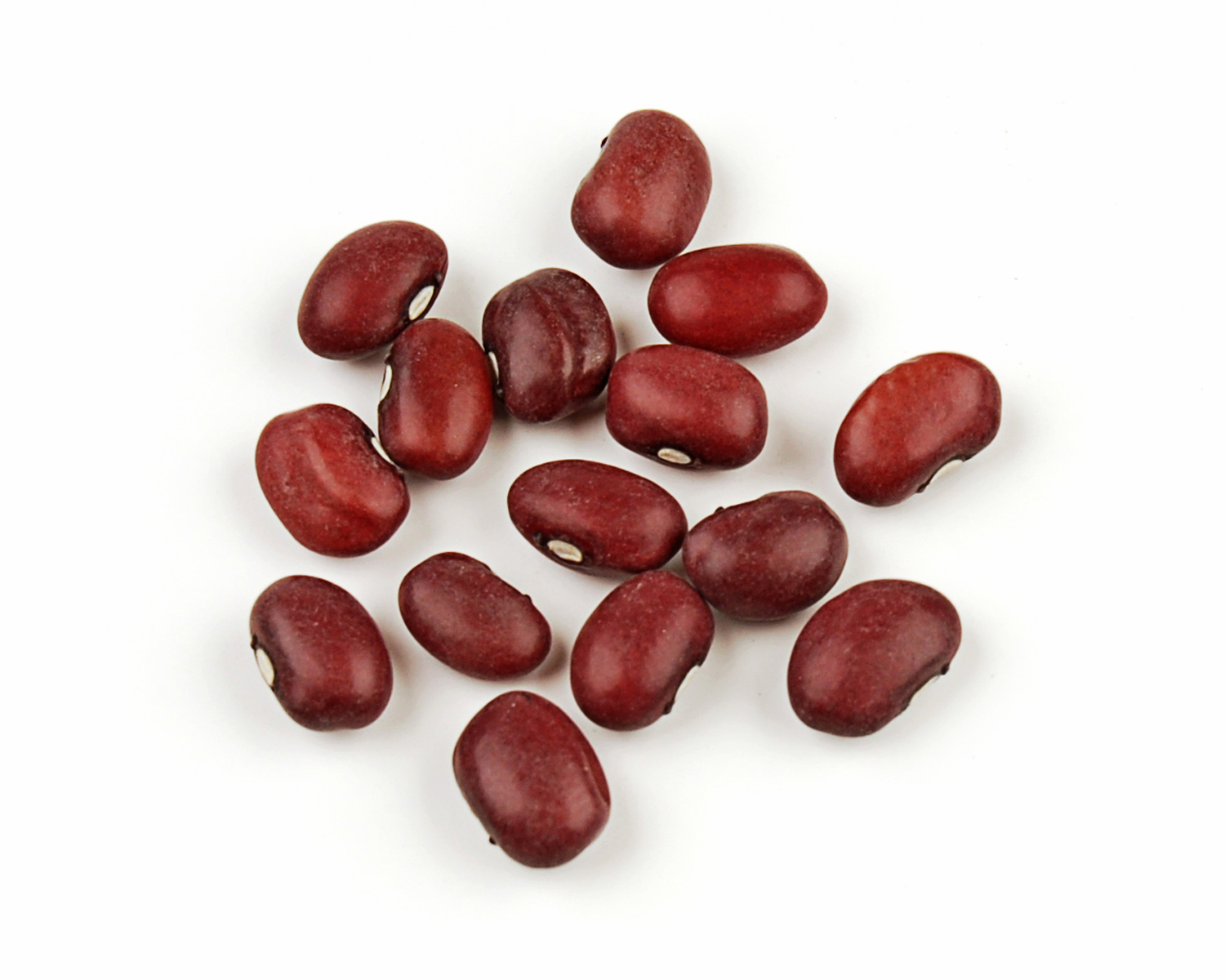 SMALL RED BEANS