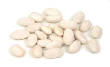 GREAT NORTHERN BEAN