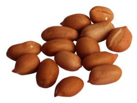 RAW SPANISH PEANUTS