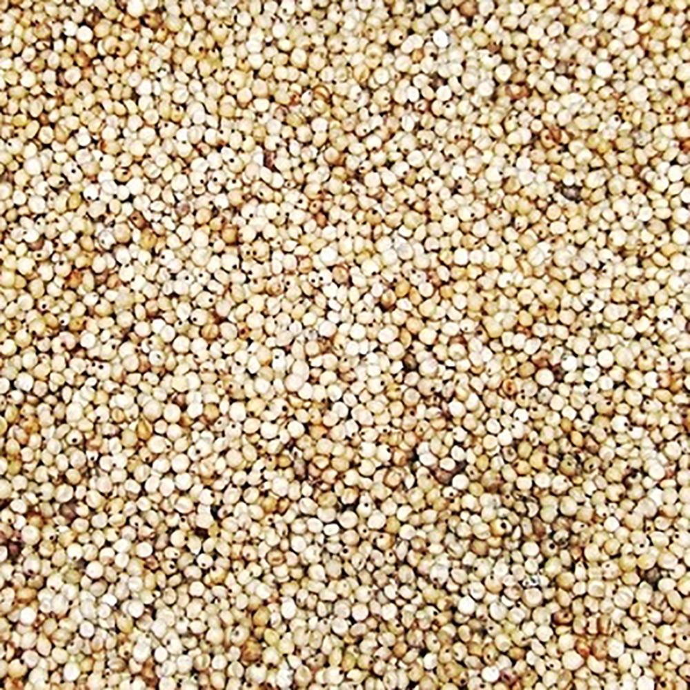 QUINOA ORGANIC BOLIVIAN