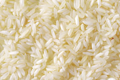 JASMINE RICE